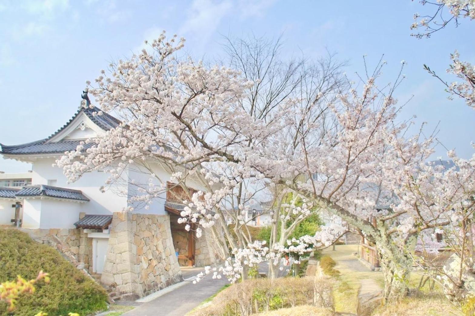 古民家の宿宰嘉庵 Traditionaljapanisehotel Saikaan مايزورو المظهر الخارجي الصورة