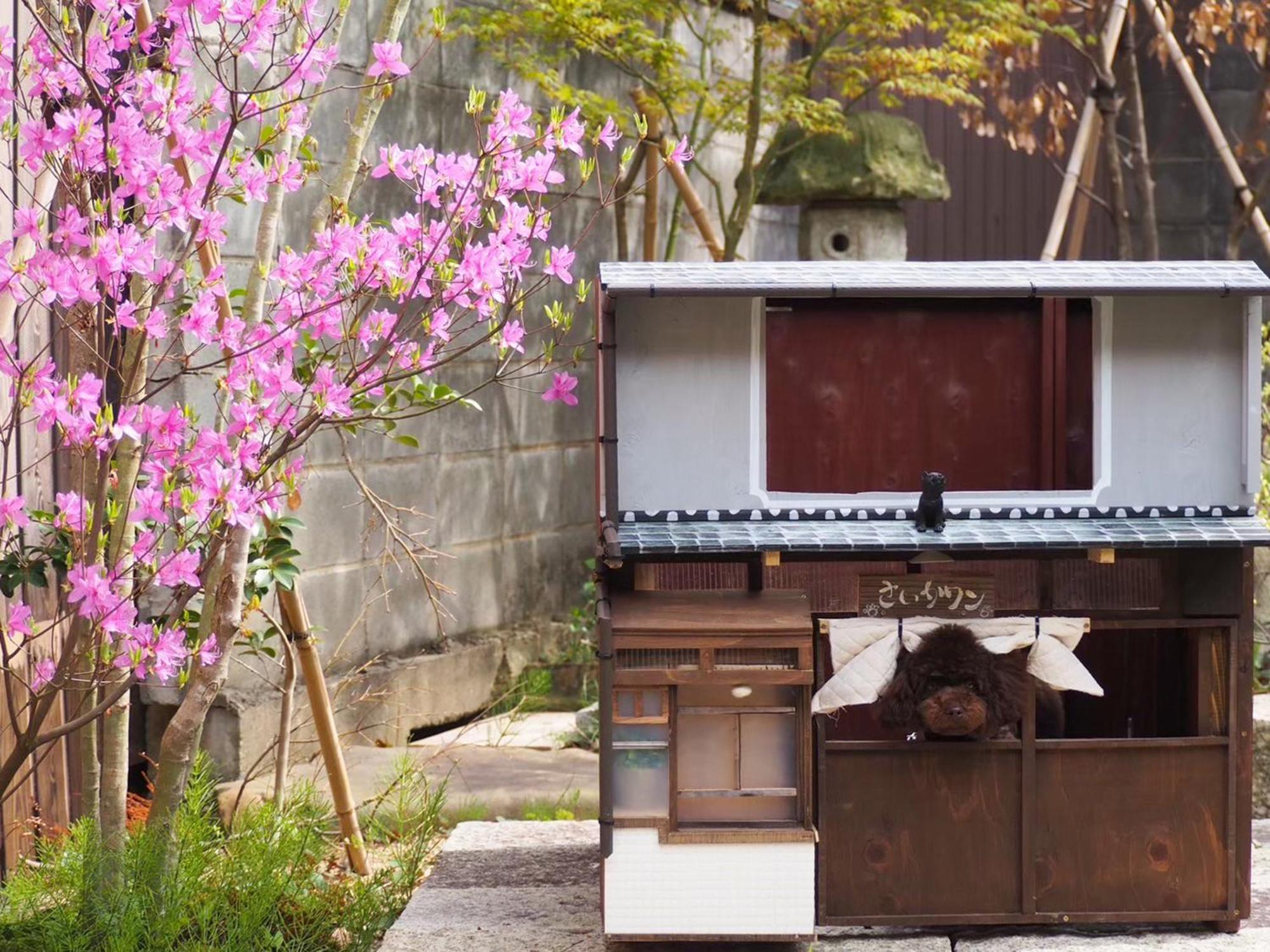 古民家の宿宰嘉庵 Traditionaljapanisehotel Saikaan مايزورو المظهر الخارجي الصورة